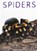 Spiders, Paul Sterry - Gebonden - 9781422239612
