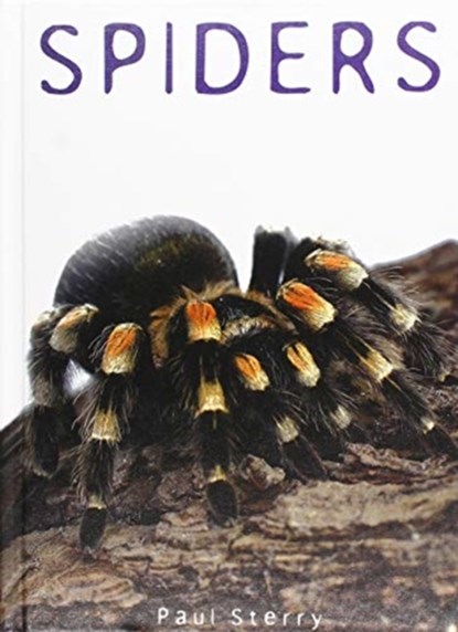 Spiders, Paul Sterry - Gebonden - 9781422239612