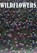 Wildflowers, Andrew Cleave - Gebonden - 9781422239629