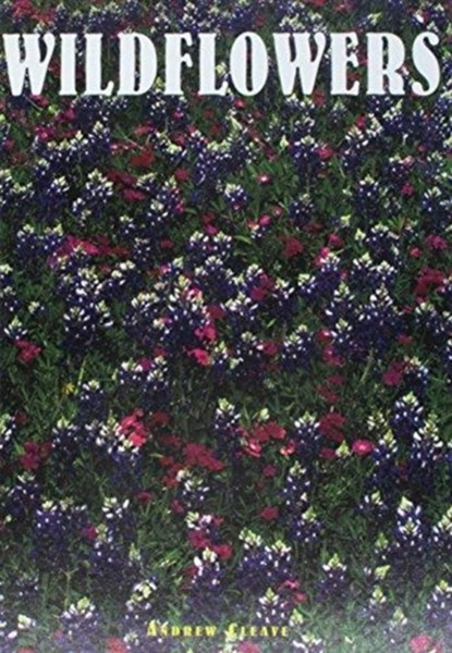 Wildflowers, Andrew Cleave - Gebonden - 9781422239629