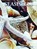 Seashells, Andrew Cleave - Gebonden - 9781422243084