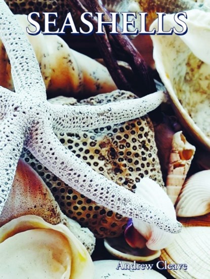 Seashells, Andrew Cleave - Gebonden - 9781422243084