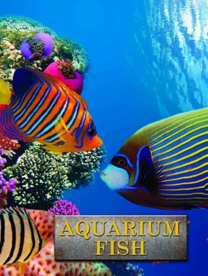 Aquarium Fish, Andrew Cleave - Gebonden - 9781422243138