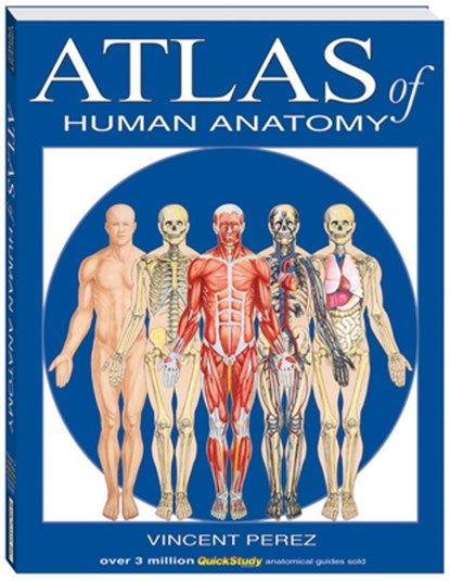 Atlas Of Human Anatomy, Vincent Perez - Paperback - 9781423201724