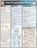 Macroeconomics, John Mijares - Paperback - 9781423208549