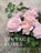 Vintage Roses, Jane Eastoe - Gebonden - 9781423646716