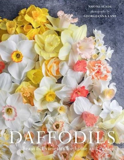 Slade, N: Daffodils, Naomi Slade - Gebonden - 9781423668060
