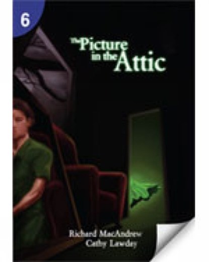 The Picture in the Attic: Page Turners 6, Richard MacAndrew ; Cathy Lawday - Paperback - 9781424017959