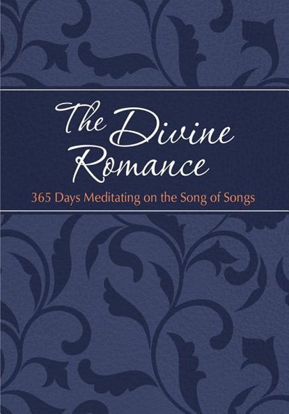 365 Days Meditating on the Song of Songs (Tpt), Brian Dr Simmons - Gebonden - 9781424555529
