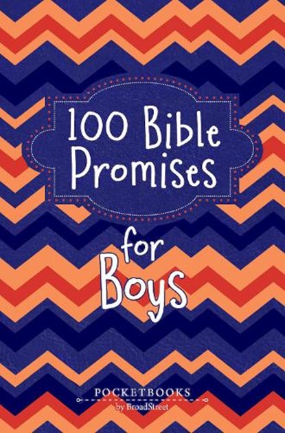 100 Bible Promises for Boys, Broadstreet Publishing Group LLC - Paperback - 9781424571604