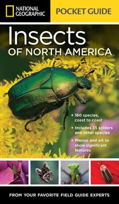 National Geographic Pocket Guide to Insects of North America, Arthur V. Evans - Paperback - 9781426216473