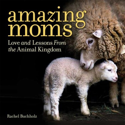 Amazing Moms, Rachel Buchholz - Gebonden - 9781426216671