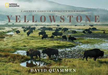 Yellowstone, David Quammen - Gebonden - 9781426217548