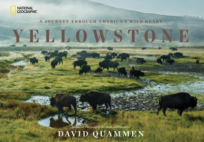 Yellowstone, David Quammen - Gebonden - 9781426217548