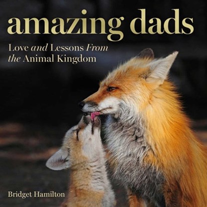 Amazing Dads, HAMILTON,  Bridget - Gebonden - 9781426218088