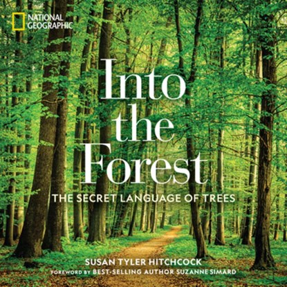Into the Forest, Susan Tyler Hitchcock - Gebonden - 9781426218903