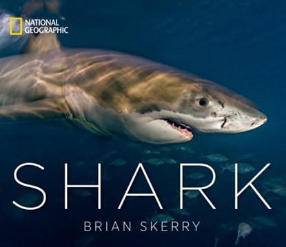 Shark, Brian Skerry - Gebonden - 9781426219108
