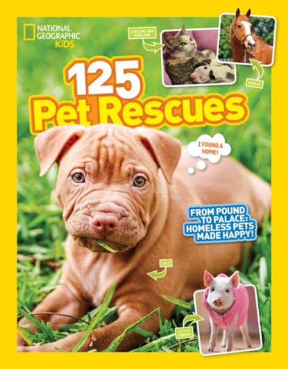 125 Pet Rescues, National Geographic Kids - Paperback - 9781426327360