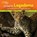 A Leap for Legadema, JOUBERT,  Beverly ; Joubert, Dereck - Gebonden - 9781426329746