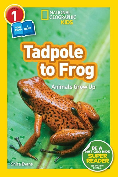 National Geographic Kids Readers: Tadpole to Frog (L1/Co-reader), National Geographic Kids ; Shira Evans - Paperback - 9781426332036