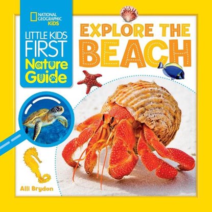 Explore the Beach, Alli Brydon - Paperback - 9781426373688