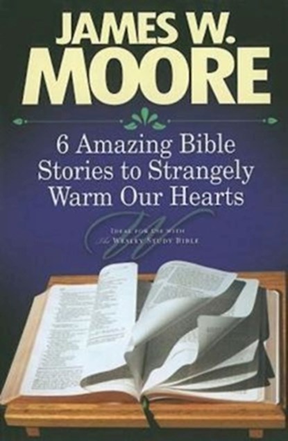 6 Amazing Bible Stories to Warm Your Heart, James W. Moore - Paperback - 9781426715891