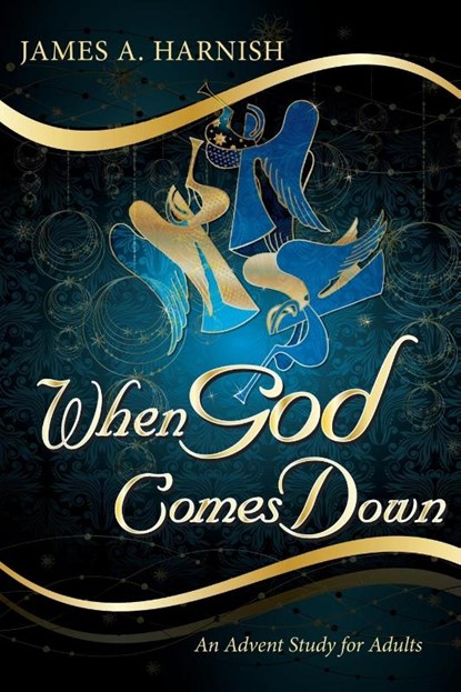 When God Comes Down, James A Harnish - Paperback - 9781426751080