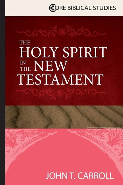 The Holy Spirit in the New Testament, John T Carroll - Paperback - 9781426766374