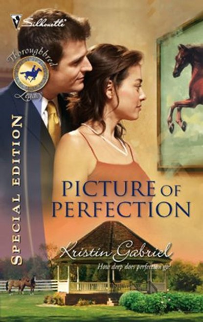Picture of Perfection, Kristin Gabriel - Ebook - 9781426819377