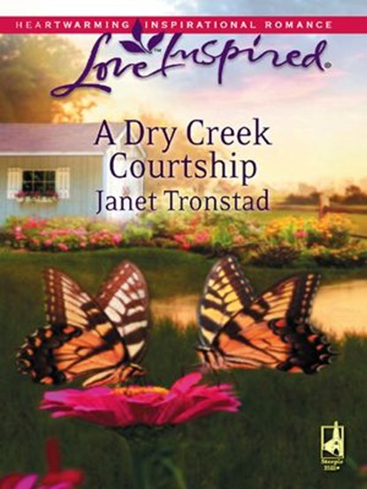 A Dry Creek Courtship, Janet Tronstad - Ebook - 9781426822308
