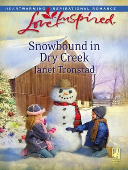 Snowbound in Dry Creek, Janet Tronstad - Ebook - 9781426823435