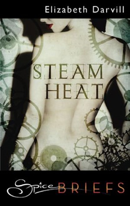 Steam Heat, Elizabeth Darvill - Ebook - 9781426878954