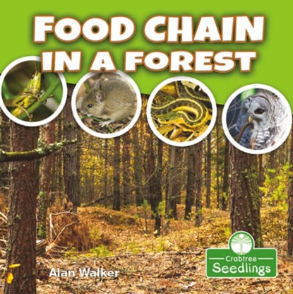 Food Chain in a Forest, Alan Walker - Paperback - 9781427130334