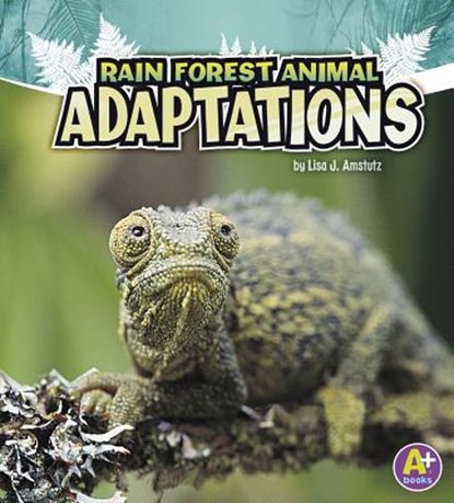Rain Forest Animal Adaptations, Lisa J. Amstutz - Paperback - 9781429670340