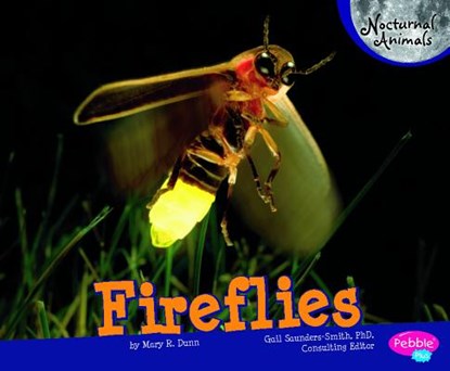 Fireflies, Mary R. Dunn - Paperback - 9781429671200