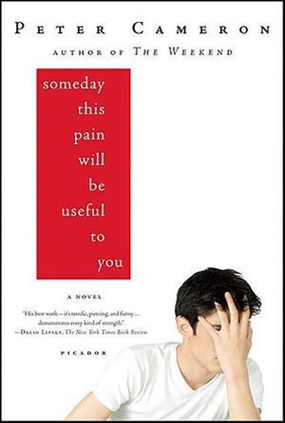 Someday This Pain Will Be Useful to You, Peter Cameron - Ebook - 9781429927130