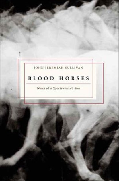 Blood Horses, John Jeremiah Sullivan - Ebook - 9781429928083