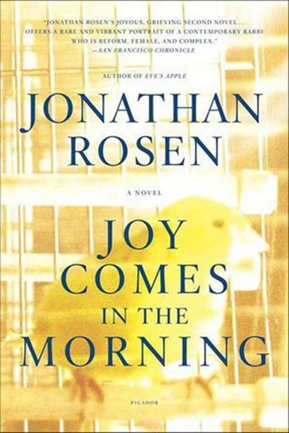 Joy Comes in the Morning, Jonathan Rosen - Ebook - 9781429956239