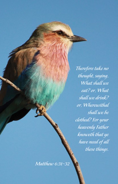 General Worship Bulletin: Your Heavenly Father Knoweth (Package of 100): Matthew 6:31-32 (Kjv), Broadman Church Supplies Staff - Paperback - 9781430084549