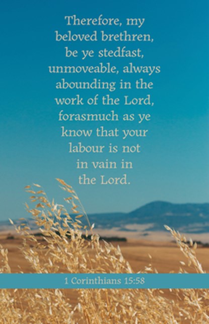 General Worship Bulletin: Be Ye Stedfast (Package of 100): 1 Corinthians 15:58 (Kjv), Broadman Church Supplies Staff - Paperback - 9781430084600