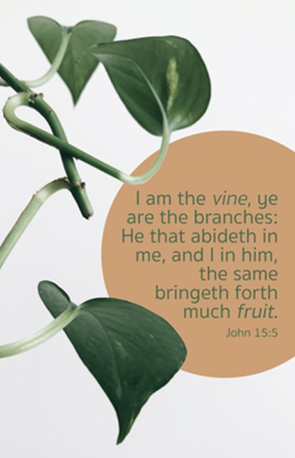 General Worship Bulletin: Much Fruit (Package of 100): John 15:5 (Kjv), Broadman Church Supplies Staff - Paperback - 9781430084723
