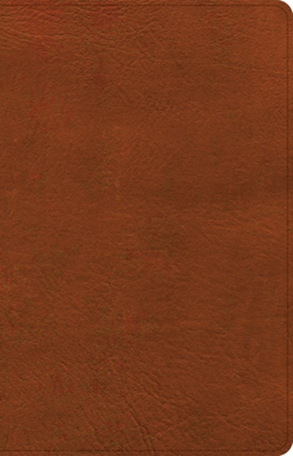 NASB Large Print Thinline Bible, Burnt Sienna Leathertouch, Holman Bible Publishers - Gebonden - 9781430086024