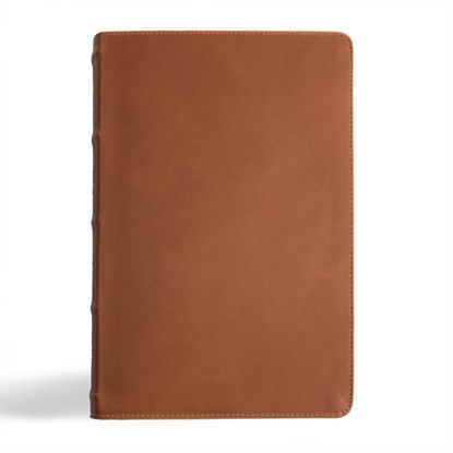 CSB Men's Daily Bible, Brown Genuine Leather, Indexed, Robert Wolgemuth - Gebonden - 9781430094111