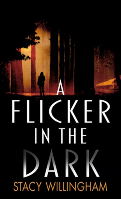 A Flicker in the Dark, Stacy Willingham - Gebonden - 9781432894955