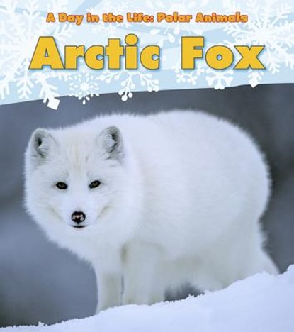 Arctic Fox, Katie Marsico - Paperback - 9781432953362