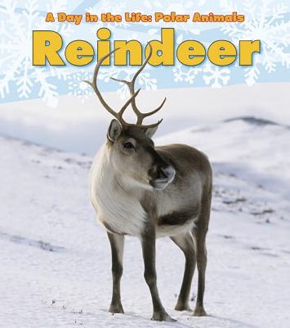 Reindeer, Katie Marsico - Paperback - 9781432953379