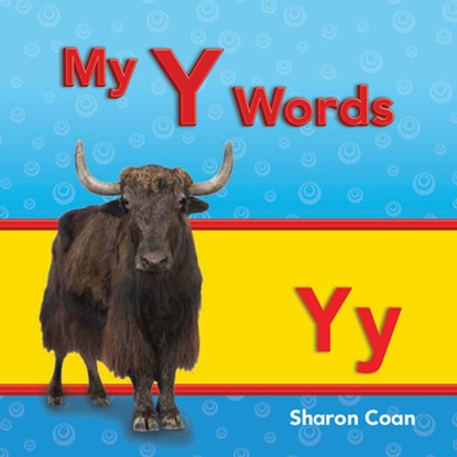 My Y Words, Sharon Coan - Paperback - 9781433339721