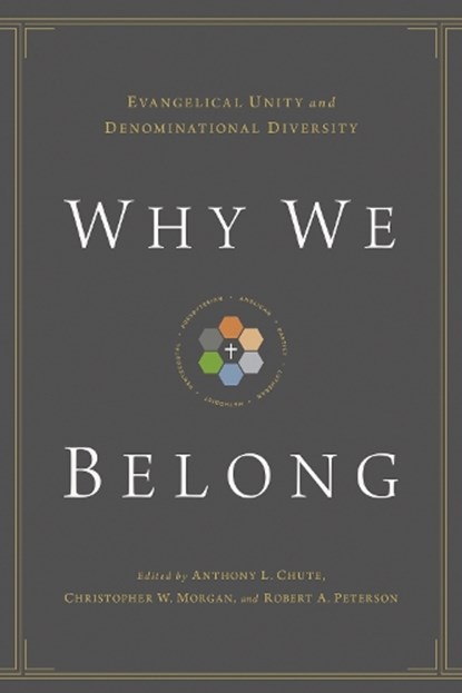 Why We Belong, Anthony L. Chute ; Christopher W. Morgan ; Robert A. Peterson - Paperback - 9781433514838
