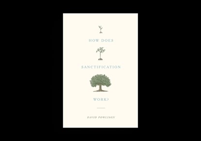 How Does Sanctification Work?, David Powlison - Paperback - 9781433556104