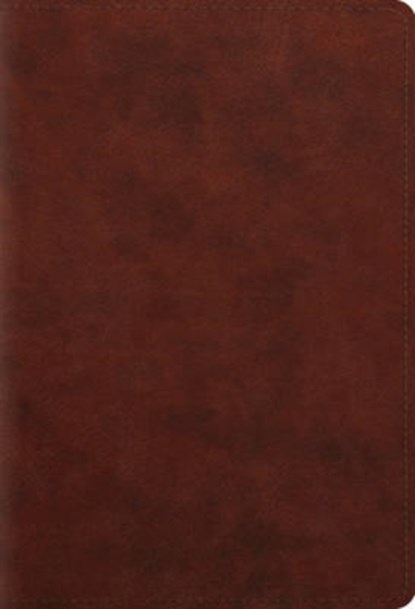ESV Student Study Bible, Wayne A. Grudem - Gebonden - 9781433556258